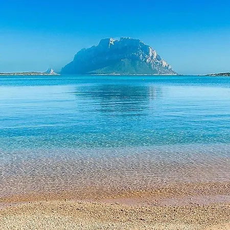 Apartamento Center Regina Elena 49 King *