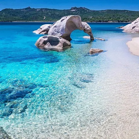 Appartement Center Regina Elena 49 King *