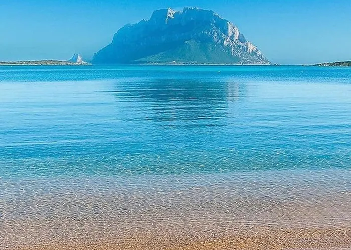 Apartment Center Regina Elena 49 King *