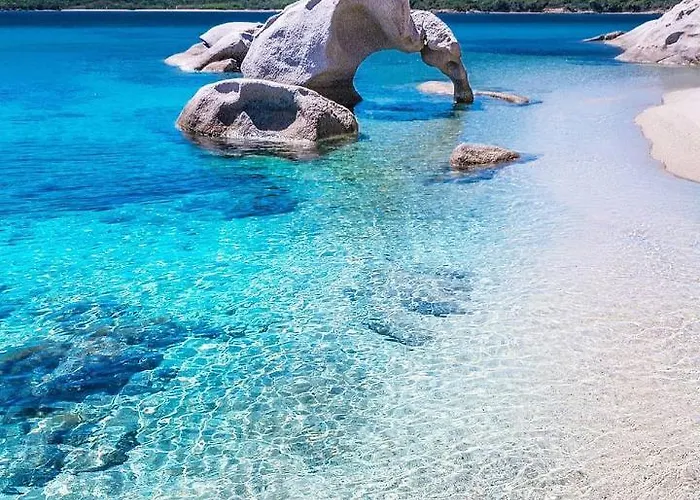 Апартаменты Center Regina Elena 49 King *